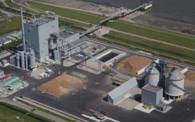 The hidden Potential of Biomass Fuel Handling