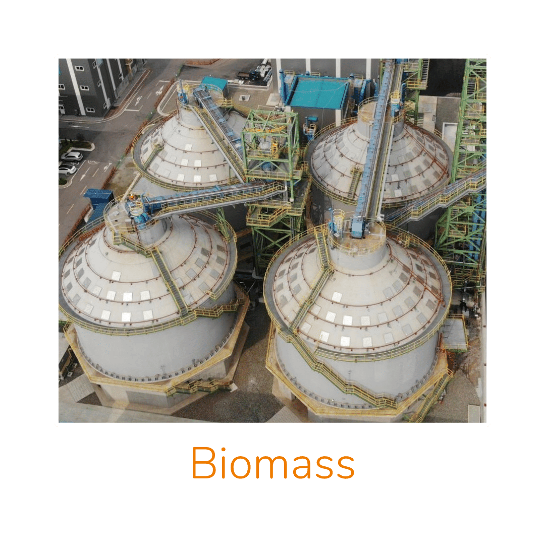 Icon_Biomass_ohneHigru